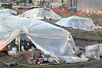 A worker exhumes remains inside one of many tents covering graves of tribal ancestors so work can continue on a dry-dock project in Port Angeles. The state walked away from the site after spending $60 million and disturbing 335 intact burials. The rocks with red tape are headstones found with the remains and will be reburied with them.