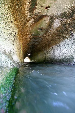 Woodland Creek flows through a pipe on its way to the Sound's Henderson Inlet. The Thurston County creek, surrounded by development, carries pollution that has shut shellfish beds.