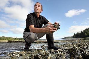 Mark Fischer, with a nonprofit shellfish farm in Henderson Inlet, educates local residents about water pollution that has closed more than 100 acres of shellfish beds here.