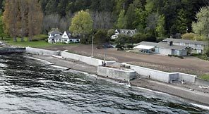 These Bainbridge homes are protected by a seawall. Scientists agree bulkheads and seawalls degrade rich near-shore habitat, but still the walls go up.