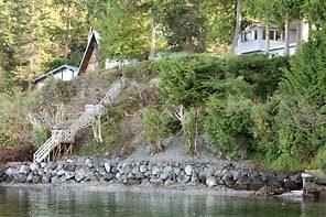 Bulkheads and other man-made barriers cover half of Bainbridge Island's 53 miles of shoreline, according to a 2004 study. The walls, often made of concrete or rocks, have damaged habitat there by covering parts of beaches and tidal zones, the study found.