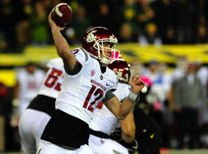 WSU quarterback Connor Halliday set an FBS record for pass attempts (89) and tied it for completions (58) while totaling 557 yards, but four interceptions hurt.